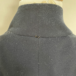 Blue Coat & Wig Bag