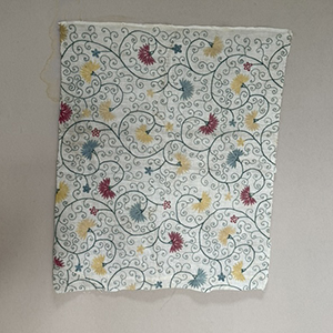 Rare Gujerati Embroidery