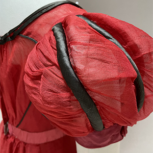 Scarlet Evening Dress