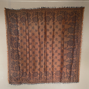 Changeable Silk Shawl
