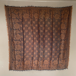 Changeable Silk Shawl